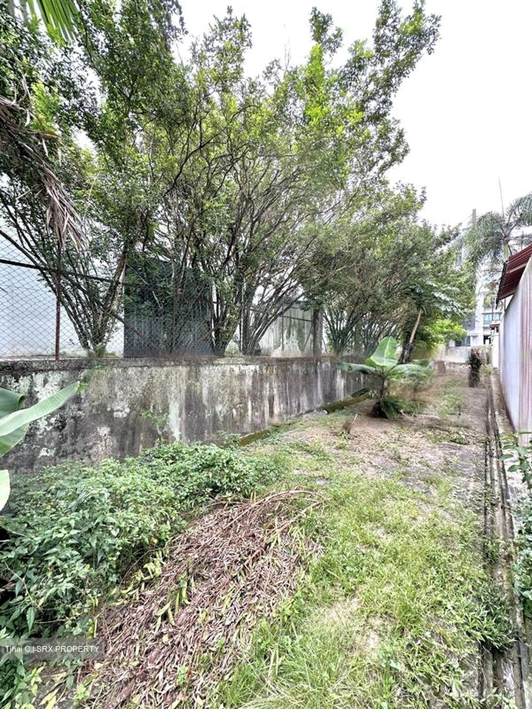 Owen Road (D8), Terrace #448471371